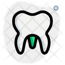 پیش‌نمایش فایل molar-5154038 از پک دندان‌پزشکی