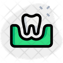 پیش‌نمایش فایل tooth-on-gum-two-5154076 از پک دندان‌پزشکی