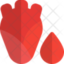 پیش‌نمایش فایل heart-blood-5153206 از پک خون