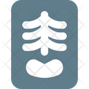 پیش‌نمایش فایل spine-x-ray-5210772 از پک بیمارستان