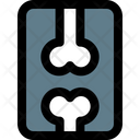 پیش‌نمایش فایل body-x-ray-5210779 از پک بیمارستان