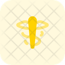 پیش‌نمایش فایل pharmacy-5210944 از پک بیمارستان
