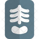 پیش‌نمایش فایل spine-x-ray-5211212 از پک بیمارستان