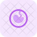 پیش‌نمایش فایل fetus-5242727 از پک باروری و بارداری
