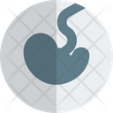 پیش‌نمایش فایل fetus-5242828 از پک باروری و بارداری