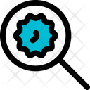 پیش‌نمایش فایل search-virus-5244025 از پک کرونا