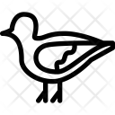 پیش‌نمایش فایل dove-39 از پک Animals 