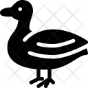 پیش‌نمایش فایل duck-123 از پک Animals 
