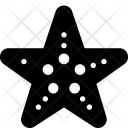 پیش‌نمایش فایل starfish-64 از پک تابستان