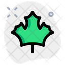 پیش‌نمایش فایل maple-leaf-3098277 از پک روز شکرگزاری