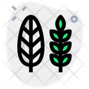 پیش‌نمایش فایل tree-3098279 از پک روز شکرگزاری