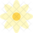 پیش‌نمایش فایل flower-3106104 از پک عید پاک