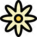 پیش‌نمایش فایل flower-3106145 از پک عید پاک