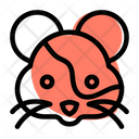 پیش‌نمایش فایل hamster-3140639 از پک حیوان – جلد ۲