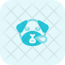 پیش‌نمایش فایل pug-sleep-snoring-3147617 از پک حیوانات جلد ۴