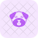 پیش‌نمایش فایل pug-sleepy-3147614 از پک حیوانات جلد ۴