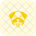 پیش‌نمایش فایل pug-tongue-smiling-3147606 از پک حیوانات جلد ۴