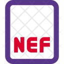 پیش‌نمایش فایل nef-file-3204584 از پک فایل تصویر