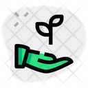 پیش‌نمایش فایل hand-to-plant-3260086 از پک استارتاپ و کسب‌وکار جدید