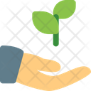 پیش‌نمایش فایل hand-to-plant-3259736 از پک استارتاپ و کسب‌وکار جدید
