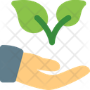 پیش‌نمایش فایل hand-to-plant-two-3259737 از پک استارتاپ و کسب‌وکار جدید