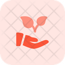 پیش‌نمایش فایل hand-to-plant-two-3259878 از پک استارتاپ و کسب‌وکار جدید