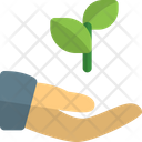 پیش‌نمایش فایل hand-to-plant-3260017 از پک استارتاپ و کسب‌وکار جدید