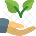 پیش‌نمایش فایل hand-to-plant-two-3260018 از پک استارتاپ و کسب‌وکار جدید