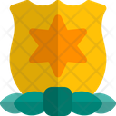 پیش‌نمایش فایل star-shield-3361167 از پک نشان‌ها / مدال‌ها