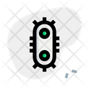 پیش‌نمایش فایل virus-3550201 از پک انتقال ویروس