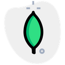 پیش‌نمایش فایل mongodb-3550907 از پک لوگو فناوری – جلد ۵