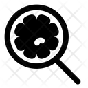 پیش‌نمایش فایل search-virus-3625482 از پک ویروس کرونا – جلد ۲