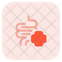 پیش‌نمایش فایل intestine-health-3625670 از پک ویروس کرونا – جلد ۲