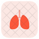 پیش‌نمایش فایل lungs-3625677 از پک ویروس کرونا – جلد ۲