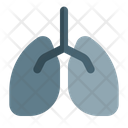 پیش‌نمایش فایل lungs-3625738 از پک ویروس کرونا – جلد ۲