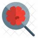 پیش‌نمایش فایل search-virus-3625774 از پک ویروس کرونا – جلد ۲