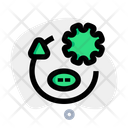 پیش‌نمایش فایل pig-virus-3625874 از پک ویروس کرونا – جلد ۲