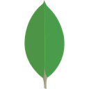 پیش‌نمایش فایل mongodb-3629020 از پک لوگو فناوری – جلد ۵