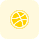 پیش‌نمایش فایل dribbble-3771243 از پک لوگو اجتماعی