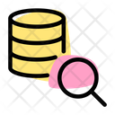 پیش‌نمایش فایل database-search-4433756 از پک پایگاه داده