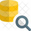 پیش‌نمایش فایل database-search-4433861 از پک پایگاه داده