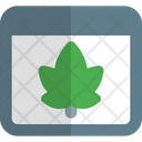 پیش‌نمایش فایل web-leaf-4436677 از پک اپلیکیشن‌ها وب