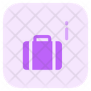 پیش‌نمایش فایل baggage-information-4467294 از پک فرودگاه