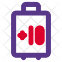 پیش‌نمایش فایل baggage-capacity-4467714 از پک فرودگاه