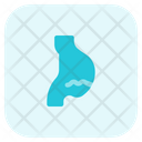 پیش‌نمایش فایل internal-medicine-4497360 از پک بیمارستان