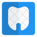 پیش‌نمایش فایل dental-care-4497525 از پک بیمارستان