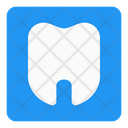 پیش‌نمایش فایل dental-care-4497129 از پک بیمارستان