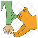پیش‌نمایش فایل aggressive-cat-5663517 از پک فعالیت‌ها گربه