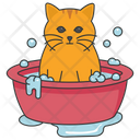 پیش‌نمایش فایل bathing-cat-5663503 از پک فعالیت‌ها گربه