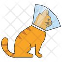 پیش‌نمایش فایل cat-cone-5663513 از پک فعالیت‌ها گربه